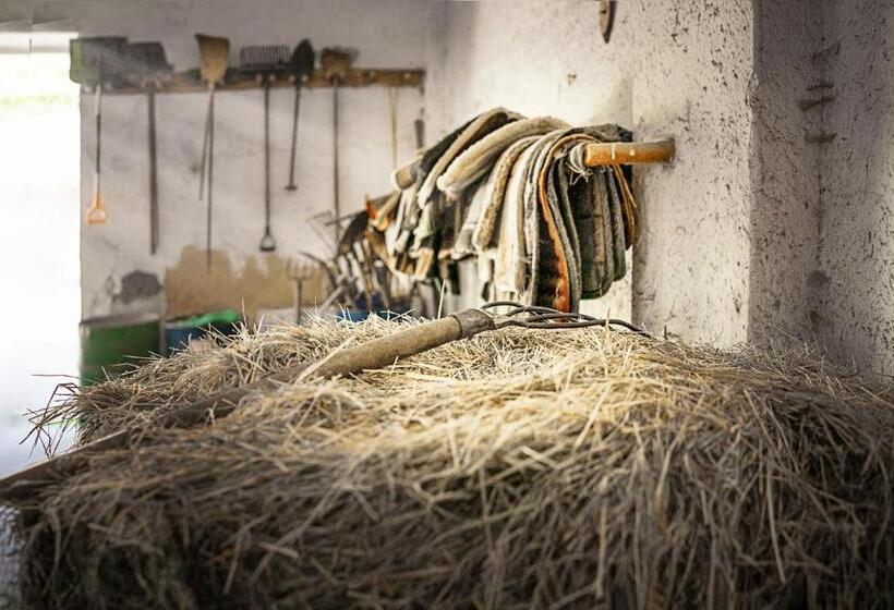 Szálloda Ranč červený Mlýn