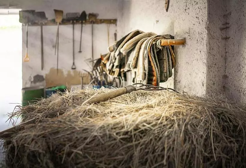 هتل Ranč červený Mlýn