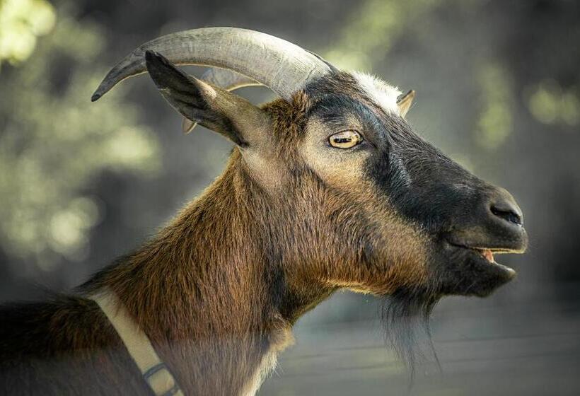 Szálloda Ranč červený Mlýn