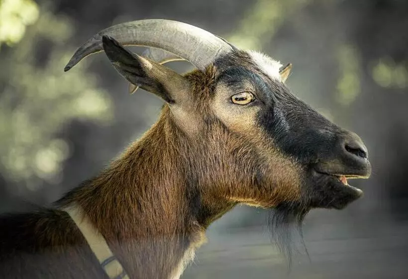 هتل Ranč červený Mlýn