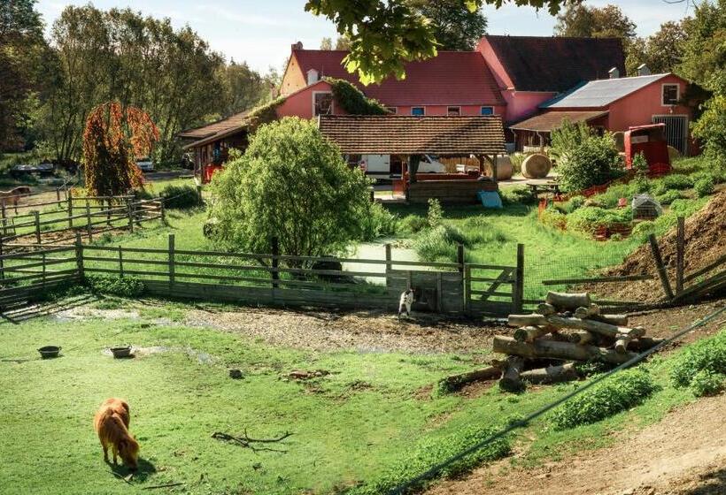 Szálloda Ranč červený Mlýn