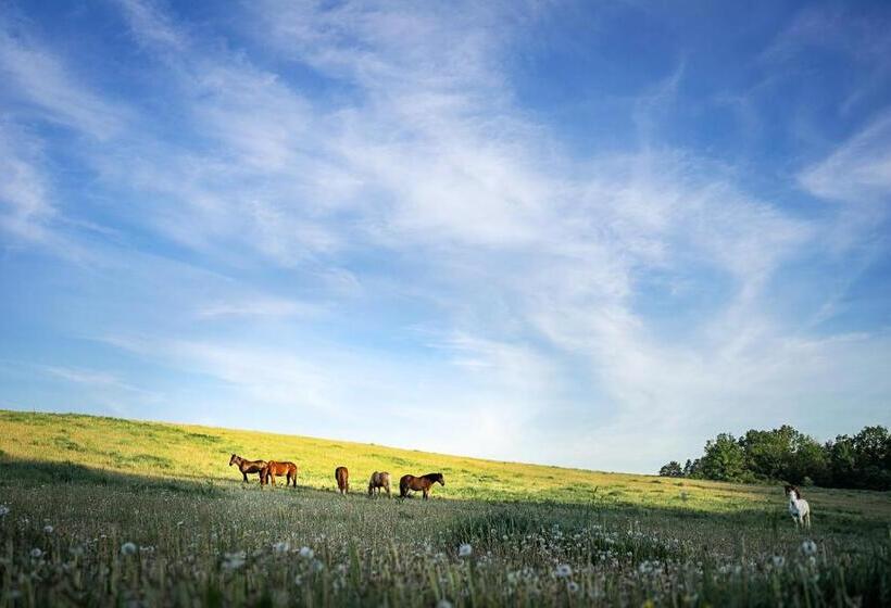 Szálloda Ranč červený Mlýn