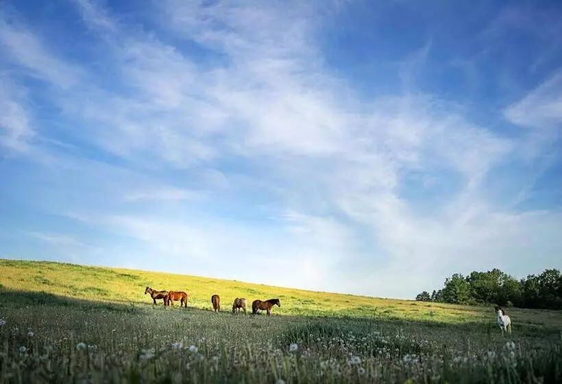 هتل Ranč červený Mlýn