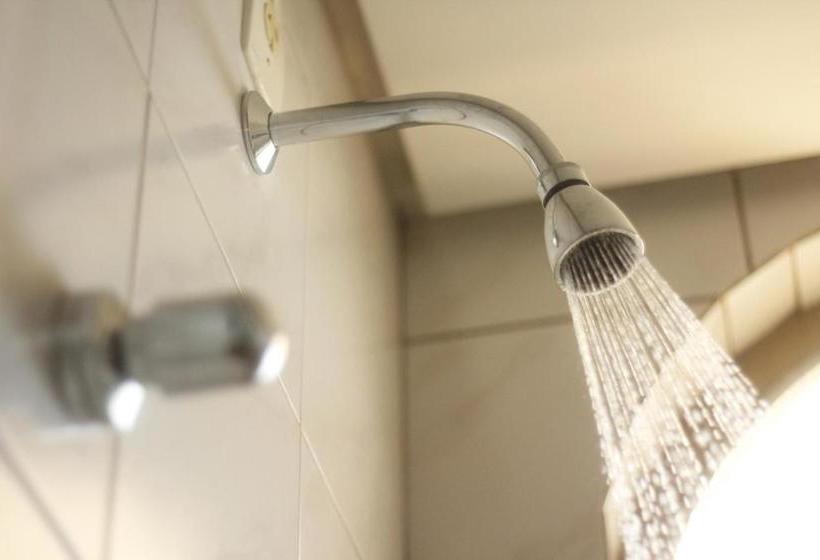 בית מלון כפרי Schwab