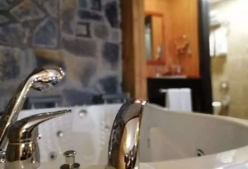 ホテル The Swanpark