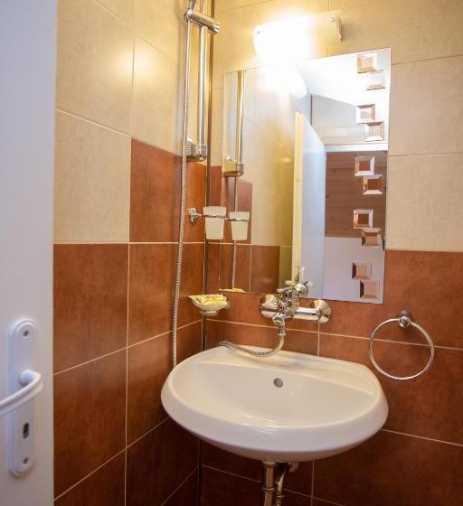 بنسيون къща за гости пъстрина