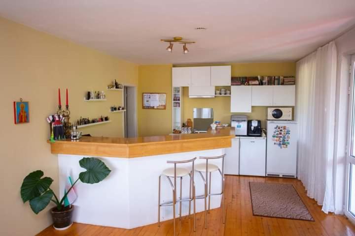 بنسيون къща за гости пъстрина