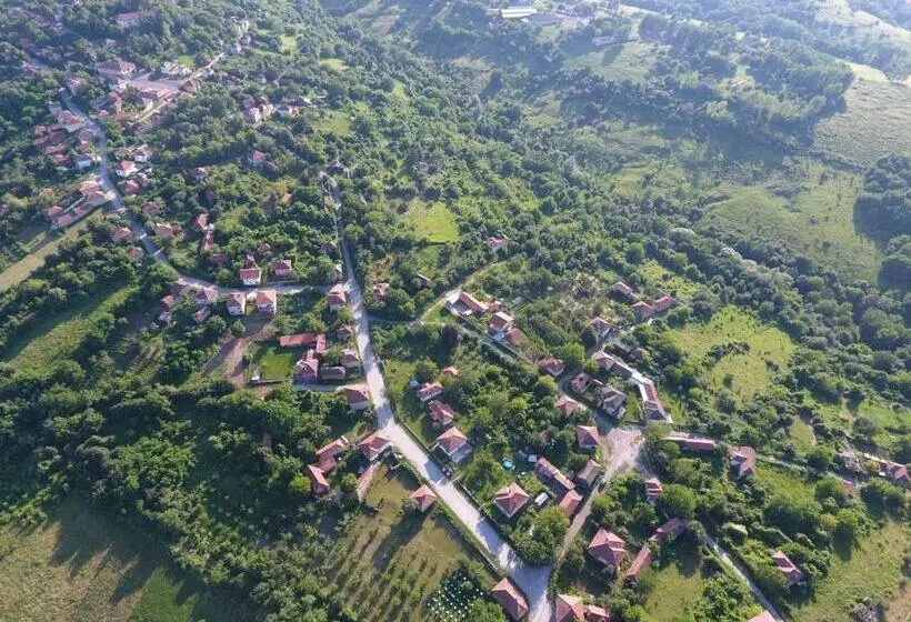 پانسیون онгъл юг