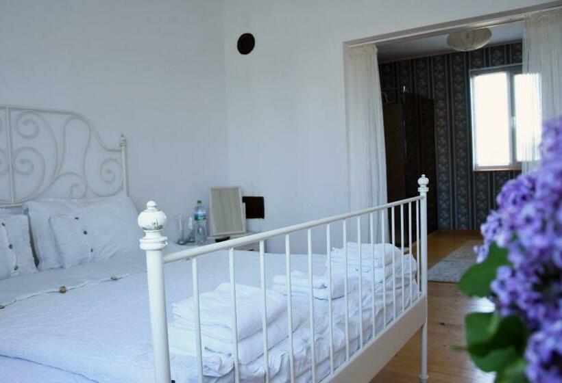 Pensionat онгъл юг