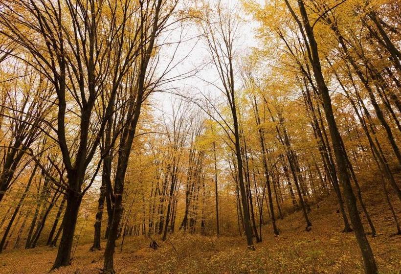 Pension Guesthouse Vila Melisa