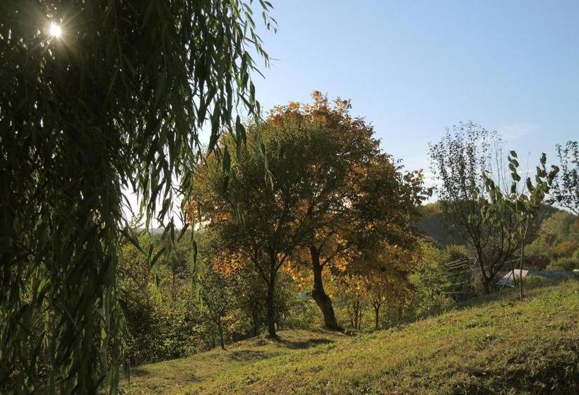 Pension Guesthouse Vila Melisa