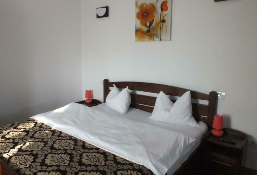 بنسيون Hanul Cocosul