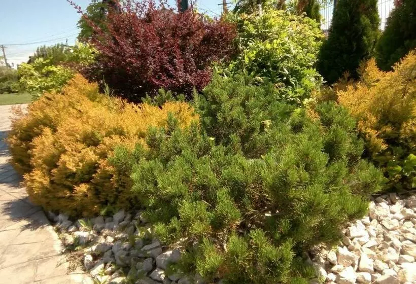 Majatalo Hanul Cocosul