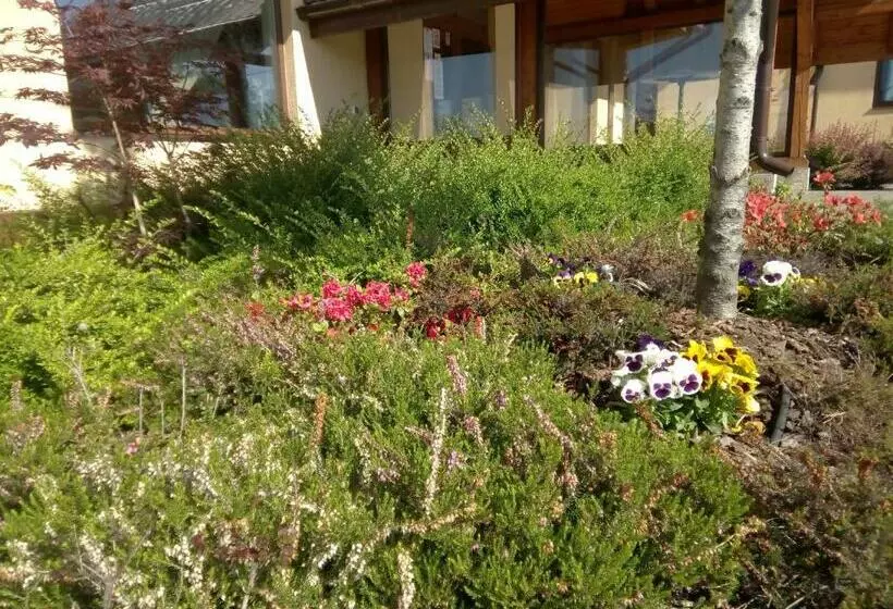 Majatalo Hanul Cocosul