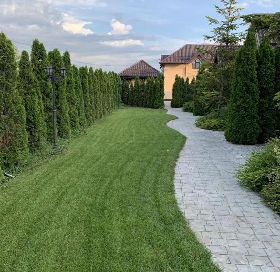 بنسيون Hanul Cocosul