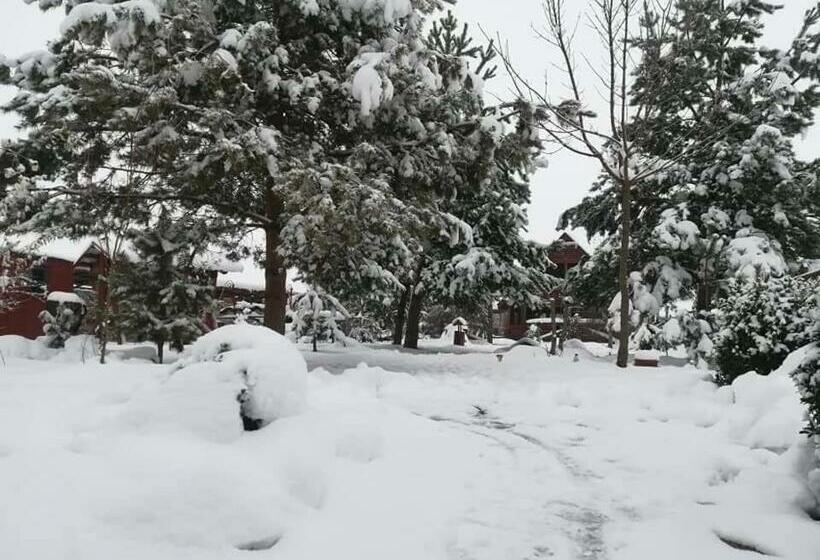 Pensiunea Perla Neamtului