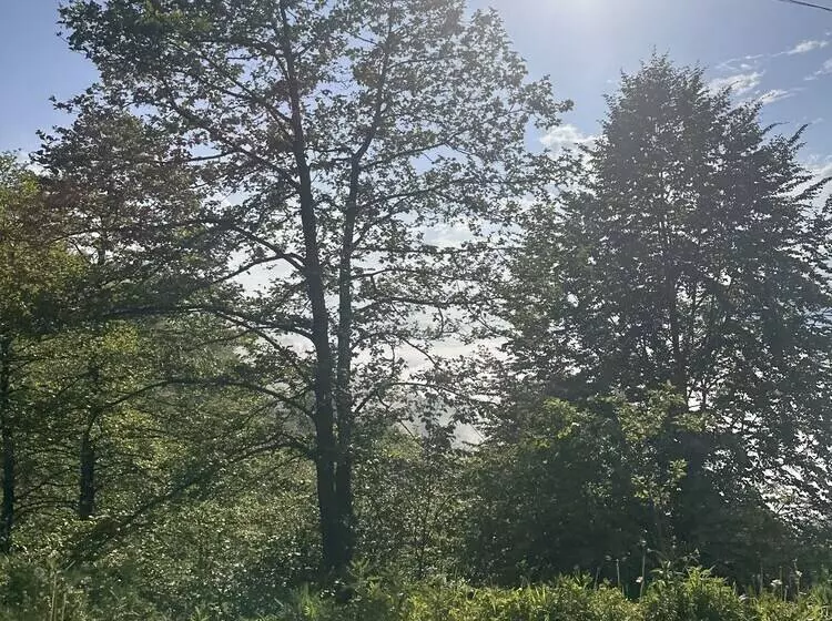 Zeyti̇ndali Yayla Otel