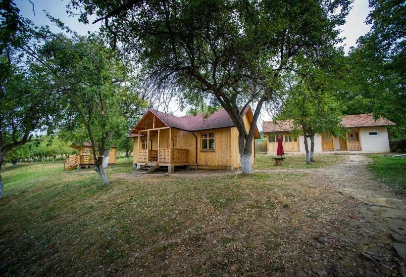 ユースホステル Jugendzentrum Seligstadt