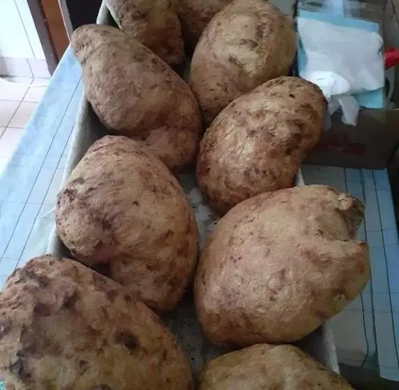 Retkeilymaja Jugendzentrum Seligstadt