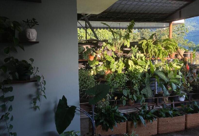 مبيت وإفطار Ashraya Boutique Homestay