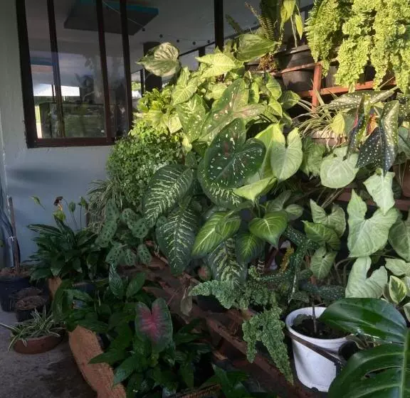 Aamiaismajoitus (B&B) Ashraya Boutique Homestay