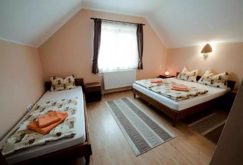 Aamiaismajoitus (B&B) Nagy Homoród étterem és Panzió