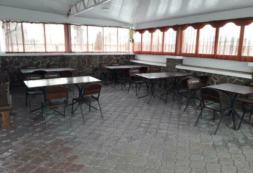 酒店 отель виктория