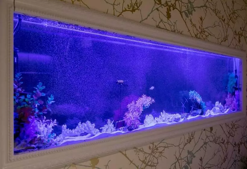 ホテル Luna Ibaraki