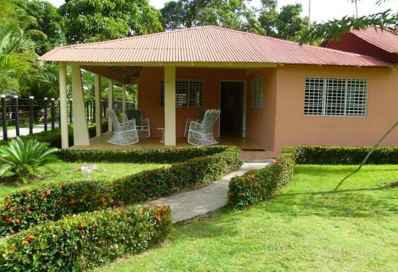 هتل The Place To Enjoy Life