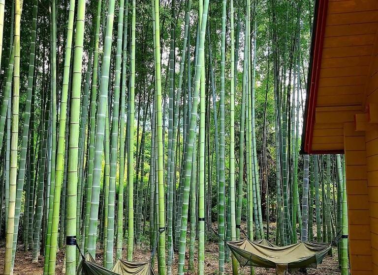 Pension あかがね荘