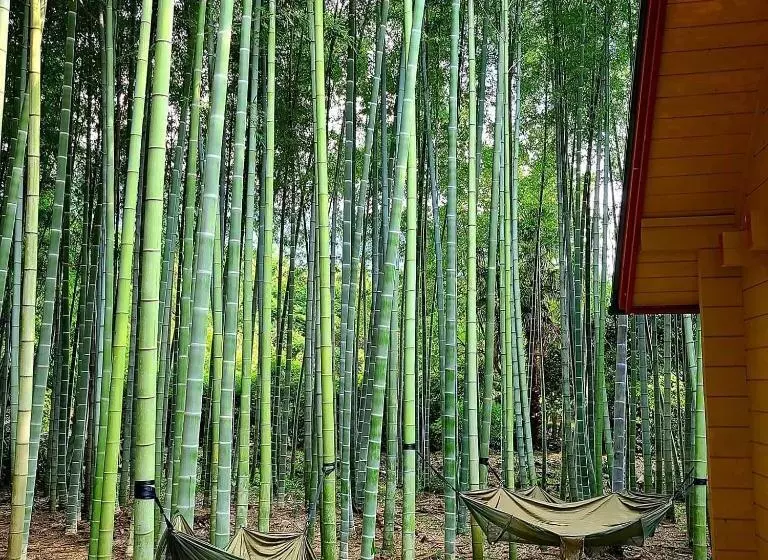 ペンション あかがね荘