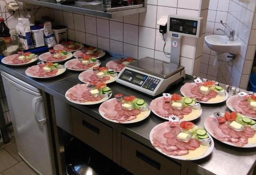 Pensionat Penzion & Ubytování