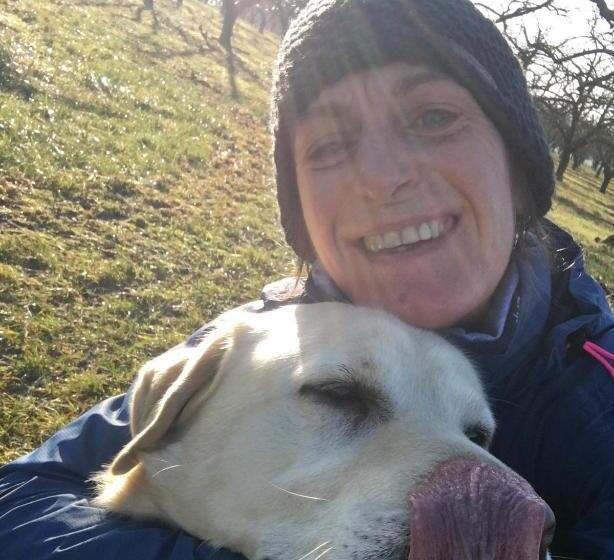 Bed and Breakfast Chambres D’hôtes La Bottée