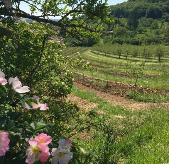 Bed and Breakfast Chambres D’hôtes La Bottée