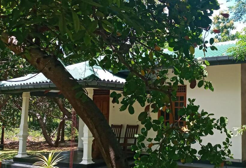 酒店 Sigiri Suncap Cottage