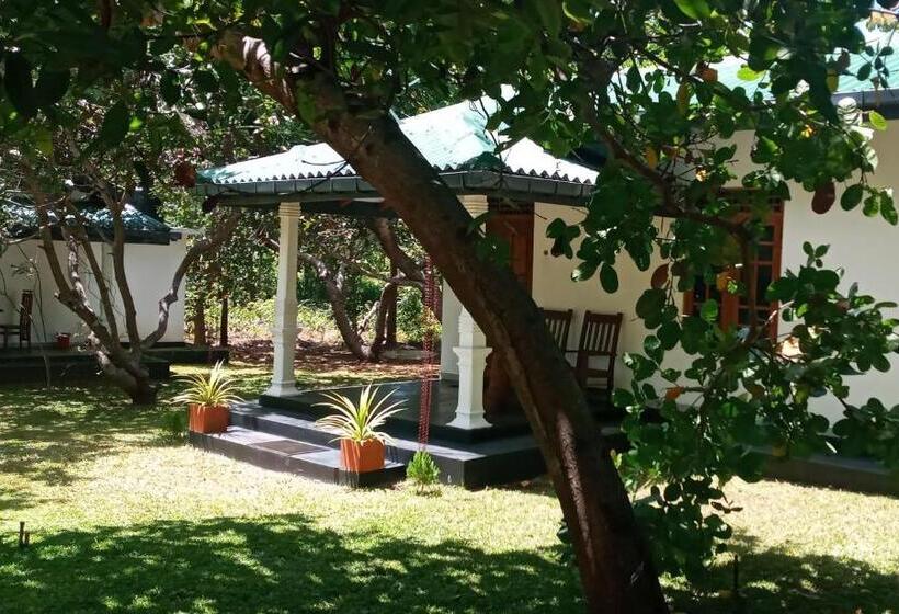 酒店 Sigiri Suncap Cottage