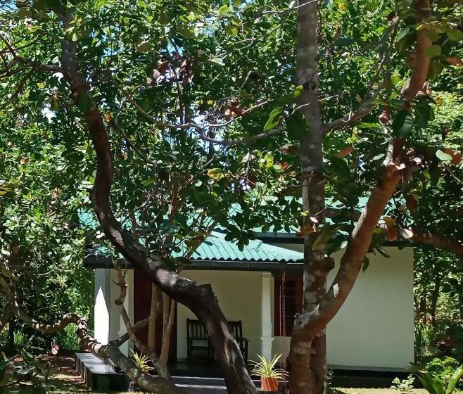 酒店 Sigiri Suncap Cottage