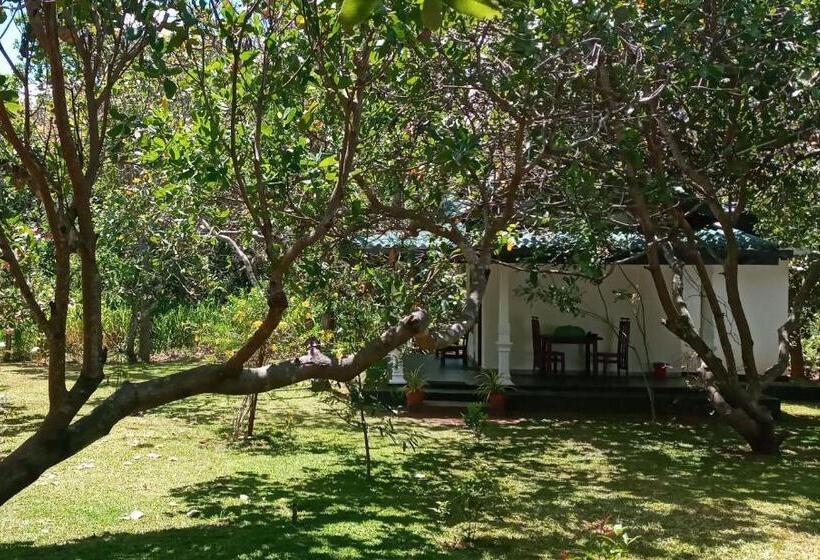 酒店 Sigiri Suncap Cottage