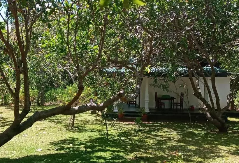 Hotelli Sigiri Suncap Cottage