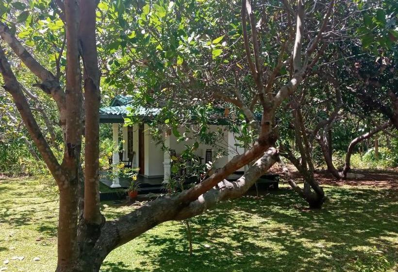 酒店 Sigiri Suncap Cottage