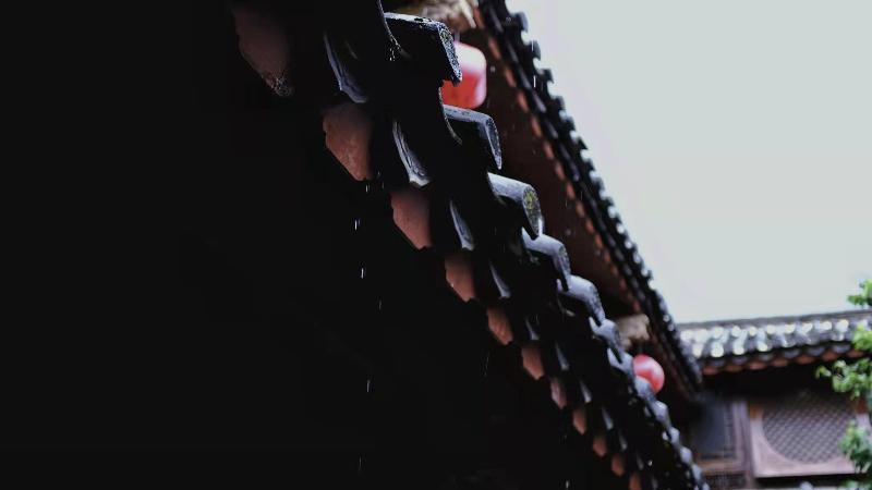 Otel Blossom Hill Inn Lijiang Neverland