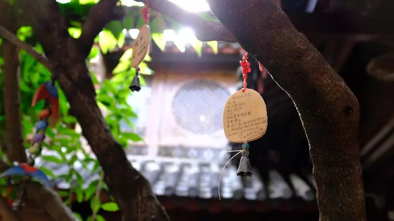 Hotel Blossom Hill Inn Lijiang Neverland