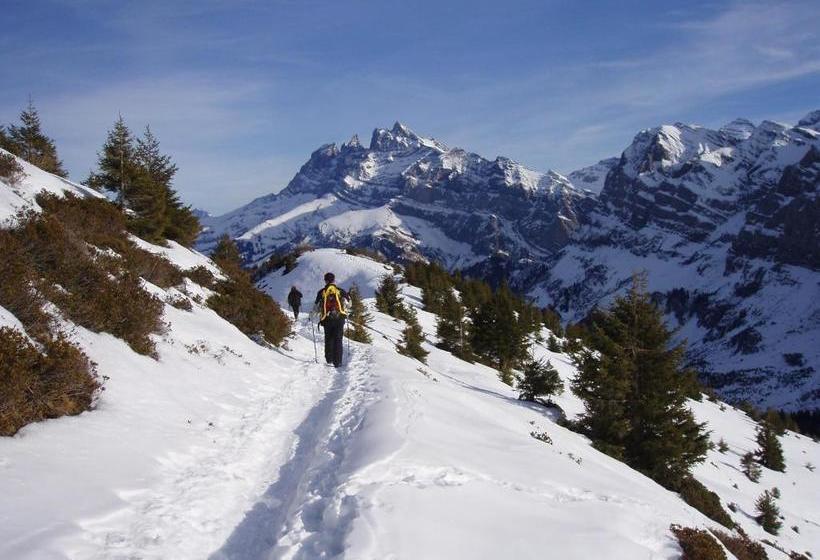 בית מלון כפרי Des Alpes