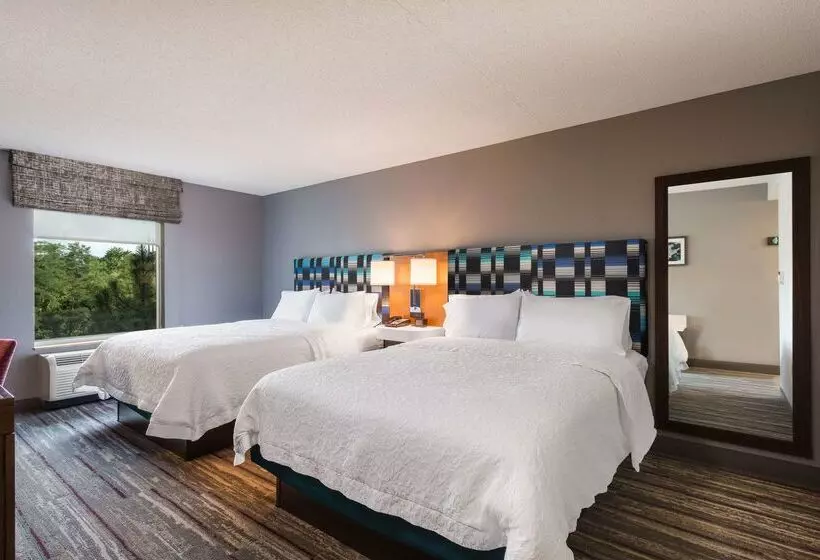 בית מלון כפרי Hampton Inn & Suites Herndon Reston