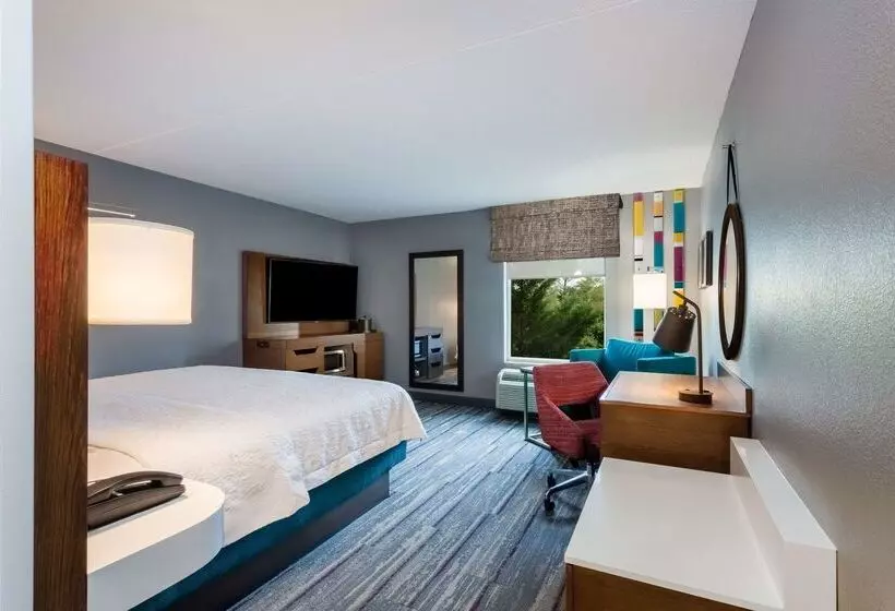 בית מלון כפרי Hampton Inn & Suites Herndon Reston