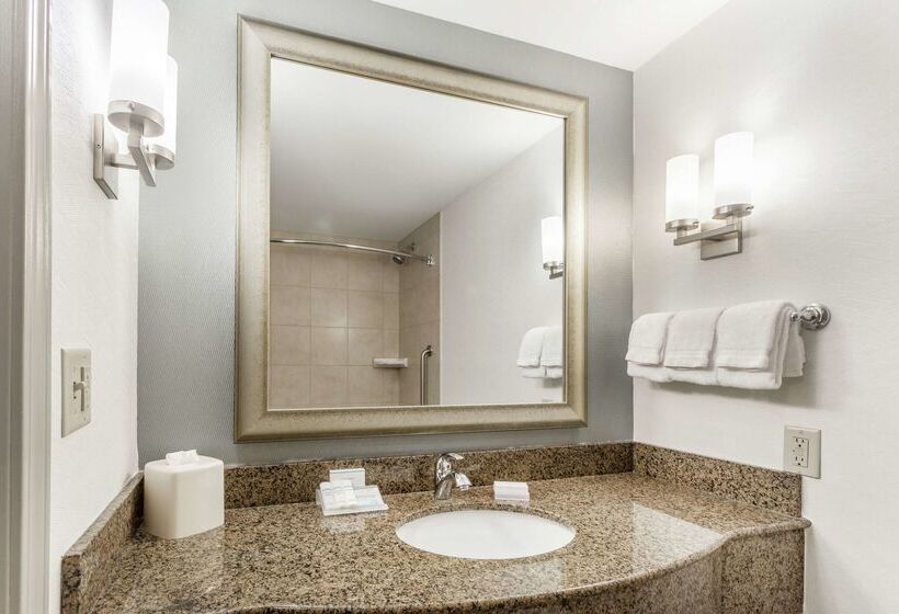 ホテル Hilton Garden Inn Albany/suny Area