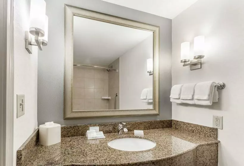 Hotel Hilton Garden Inn Albany/suny Area