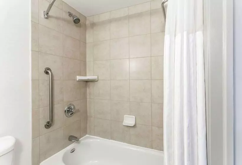 Hotel Hilton Garden Inn Albany/suny Area