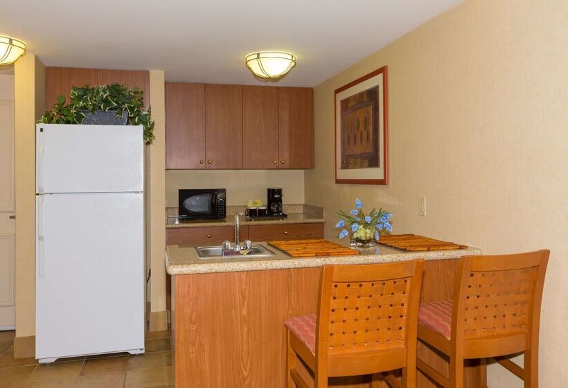 فندق Hilton Garden Inn Buffalo Airport