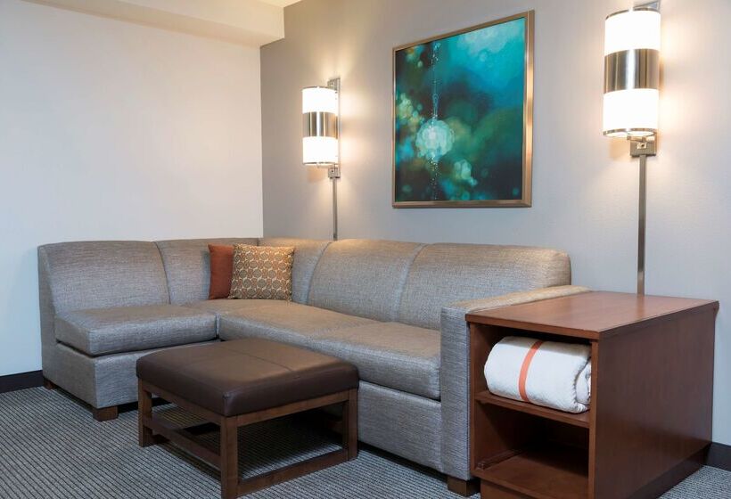 ホテル Hyatt Place Sarasota/bradenton